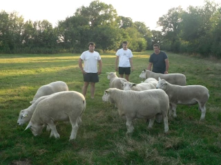 Le Texel s’invite à Saulieu
