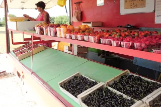 Le temps des cerises fini... Il faut garder la pêche !