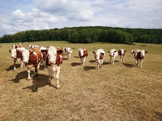 Une météo bien capricieuse