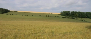 L’agriculture victime d’une météo capricieuse