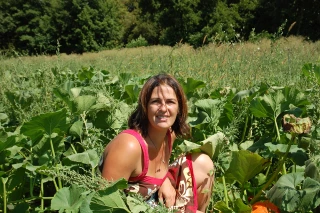 Un secteur attractif en développement