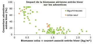 Réduire les herbicides grâce aux colzas associés