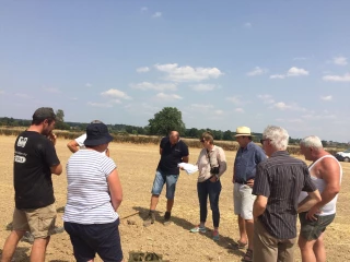 Le casse-tête des SIE