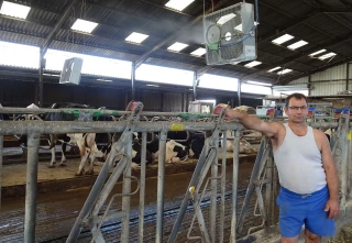 Des vaches au frais !