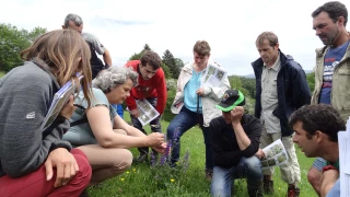 Comment mieux connaître la flore naturelle de nos prairies