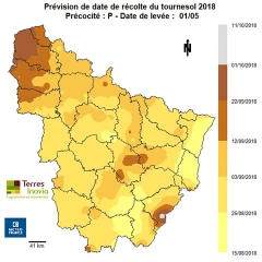 Récolter dès que possible les parcelles à maturité