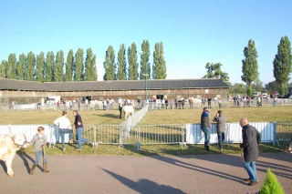 Une journée 100% charolais à l’Agropole du Marault