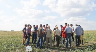 H’Api agri: des couverts et des abeilles