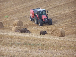 «Nous voulons donner un coup d’arrêt à cette situation !»