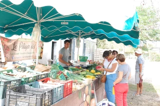 À la découverte du maraîchage