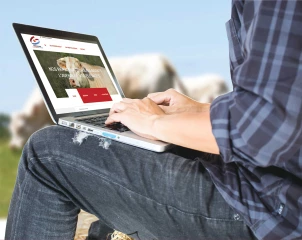 La génétique à portée de clic