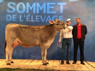 Jartelle, la grande championne