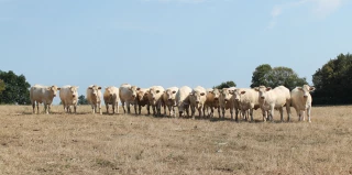 Une attention particulière  cet hiver pour nos primipares