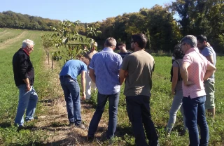 Une formation pour comprendre l’agroforesterie