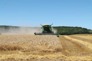 Le bilan 2018 de la moisson en bio est désormais connu