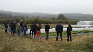 Une matinée de partage sur le maraîchage bio