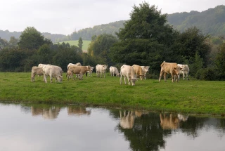 Le paiement pour services rendus en phase test...