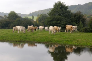 Le paiement pour services rendus en phase test...