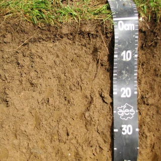 Le point sur la fissuration des sols prairiaux