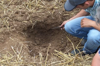 Sols : la face cachée de la biodiversité