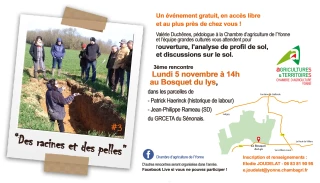 Des racines et des pelles