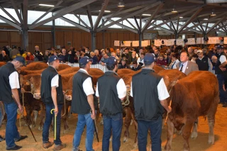 Un très beau concours hors berceau !