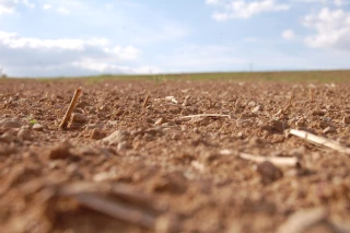 Des mesures exceptionnelles mises en œuvre par l’État en faveur des agriculteurs