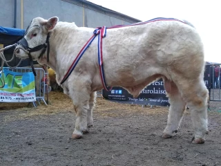 Adjugé 11 500 euros !