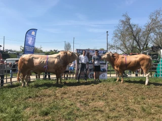 Mirage, champion du grand Est