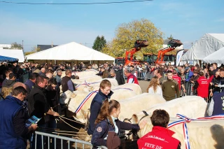 La fête a été totale