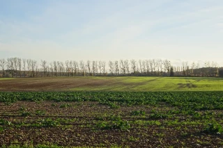 Des conditions de semis jamais vues