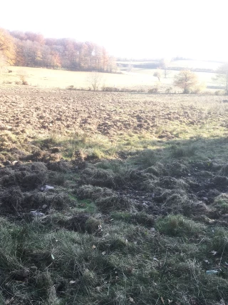L’explosion !