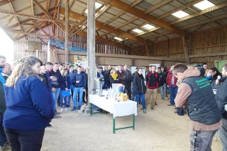 Réintroduire des ovins sur les plateaux de Bourgogne