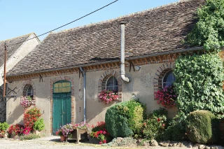 Le pouvoir des fleurs