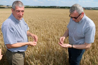 La DDT et l’agriculture icaunaise