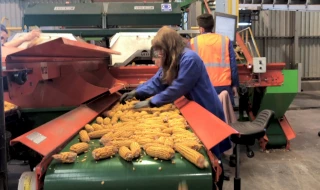 Des projets à fortes valeurs