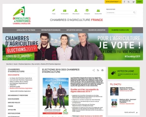 Nouveauté 2019 : le vote en ligne