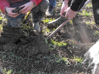 L’agriculture de conservation au programme d’une formation