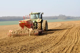 Réussir son implantation de pois et de féverole de printemps
