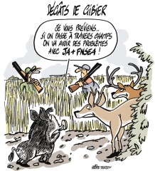 Dégâts de sangliers :  ce n’est plus tolérable !