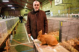 Plus de volailles mais moins de visiteurs