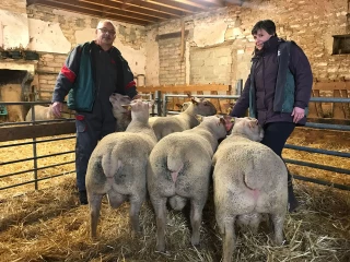 Une rencontre de haut niveau