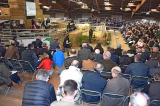 Un record mais moins de ventes
