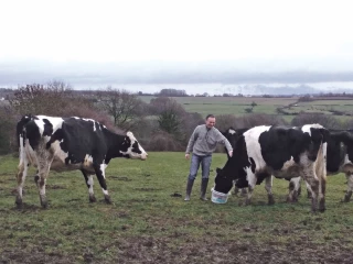 « Passer en bio, ça détend ! »