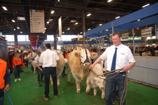 Une belle vitrine pour la race Charolaise