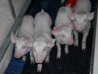 Une AG gourmande et conviviale