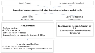 Destruction du sanglier du  1er au 31 mars 2019 dans la Nièvre