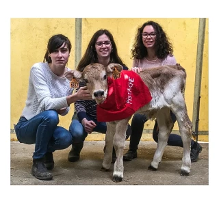 À la découverte des animaux