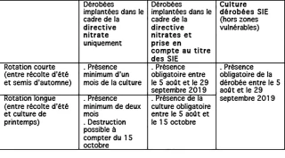 La gestion collective des dates d’implantation des cultures dérobées SIE reconduite en 2019