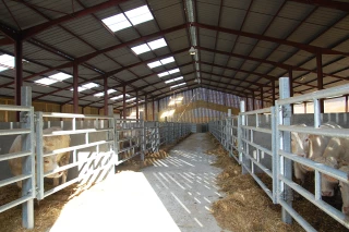 Une vitrine pour l’engraissement